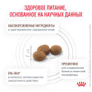 2кг Корм ROYAL CANIN Hepatic Feline диета для кошек при заболеваниях печени