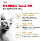 0,4кг Корм ROYAL CANIN Sphynx Adult для взрослых кошек породы Сфинкс старше 12 месяцев