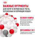 Корм в развес ROYAL CANIN Mother & Babycat для котят с рождения и до 4 месяцев, беременных и кормящих кошек, 1кг