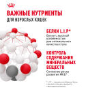 85гр Влажный корм ROYAL CANIN Indoor Sterilised для взрослых домашних стерилизованных кошек, в желе (пауч)