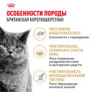 85г Влажный корм ROYAL CANIN British Shorthair Adult для взрослых Британских короткошерстных кошек, в соусе (пауч)