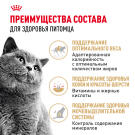 85г Влажный корм ROYAL CANIN British Shorthair Adult для взрослых Британских короткошерстных кошек, в соусе (пауч)