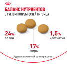 3кг Корм ROYAL CANIN Medium Dermacomfort для взрослых собак средних пород с чувствительной кожей
