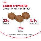 0,4кг Корм ROYAL CANIN Hair&Skin Care для взрослых кошек для здоровья кожи и шерсти