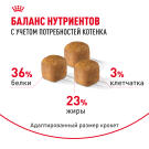 0,4кг Корм ROYAL CANIN Maine Coon Kitten для котят породы Мейн Кун до 15 месяцев