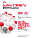85гр Влажный корм ROYAL CANIN Indoor Sterilised для взрослых домашних стерилизованных кошек, в соусе (пауч)