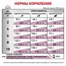 1,5кг Корм ROYAL CANIN Renal Small Dog диета для взрослых собак мелких пород с хронической болезнью почек