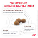 2кг Корм ROYAL CANIN Gastrointestinal Moderate Calorie диета для взрослых кошек при расстройствах пищеварения с умеренным содержанием калорий