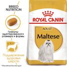 1,5кг Корм ROYAL CANIN Maltese Adult для взрослых собак породы Мальтийская Болонка от 10 месяцев