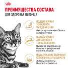 10кг Корм ROYAL CANIN Bengal для взрослых Бенгальских кошек от 12 месяцев