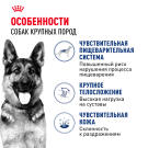 15кг Корм ROYAL CANIN Maxi Adult для взрослых собак крупных пород от 15 месяцев