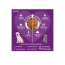 2кг Gemon Cat Adult Complete CHICKEN / TURKEY для взрослых кошек с курицей и индейкой