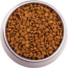 0,4кг Gemon Cat Indoor для домашних кошек