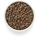 3кг Корм GRANDORF VET DOG GASTROINTESTINAL LOW FAT для собак при гиперлипидемии на основе бескостной Индейки