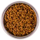 10кг Корм Monge Cat Monoprotein Adult Salmon Монопротеиновый для взрослых кошек с Лососем