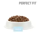 650гр Корм Perfect Fit для взрослых кошек поддержка здоровья почек Лосось