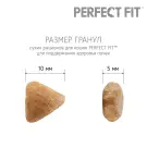 650гр Корм Perfect Fit для взрослых кошек поддержка здоровья почек Лосось
