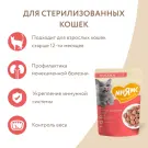 85гр Влажный корм Мнямс для взрослых стерилизованных кошек кусочки в соусе с Лососем