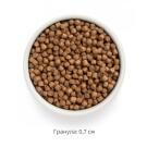 3кг Корм GRANDORF DOG Fresh Lamb&Sweet Potato Puppy беззерновой гипоаллергенный для щенков всех пород с 3 недель, беременных и кормящих собак, Ягненок с Бататом