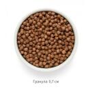 1кг Корм GRANDORF DOG Fresh Salmon&Sweet Potato Adult Mini беззерновой гипоаллергенный для собак мелких пород, Лосось с Бататом