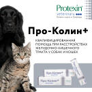 Проколин Protexin пробиотик для собак и кошек, 15мл