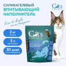 Силикагелевый впитывающий наполнитель Cat's choice с синими гранулами 2кг