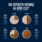 75гр Паштет для кошек FELIX с Говядиной и Ягнёнком