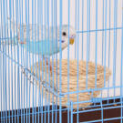 Гнездо CHILL CHOLL для попугая сизаль, 10*5см