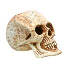 Декорация из светлой керамики Череп, 12*13,5см