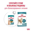 85гр Влажный корм ROYAL CANIN Ageing +15 для взрослых кошек в возрасте 15 лет и старше, кусочки в соусе