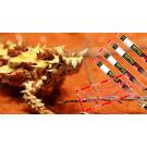 Лампа для террариума EXO TERRA Repti Glo UVB 2,0 30W 90см T8 без плафона