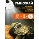 Лампа для террариума E27 RESUN UVB-5%, 13W