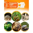 Лампа для террариума E27 RESUN UVB-5%, 13W