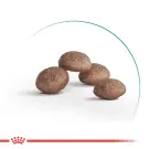 0,4кг Корм ROYAL CANIN Sterilized +11 для кошек старше 11 лет