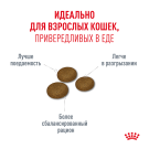 0,4кг Корм ROYAL CANIN Fussy Exigent для взрослых привередливых кошек