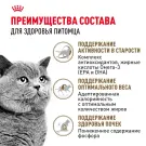 0,4кг Корм ROYAL CANIN Ageing+12 для взрослых кошек старше 12 лет