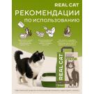 Наполнитель Real Cat TOFU green tea растительный комкующийся, Зеленый чай, 2,5кг (5л)