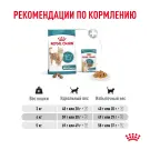 0,4кг Корм ROYAL CANIN Ageing 15+ для пожилых кошек старше 15 лет