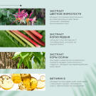 Шампунь ProPhyto CLASSIC SHAMPOO с растительными экстрактами для блеска и мягкости шерсти собак, 250мл