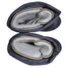 Сапоги мужские FortMen ЭВА "Ермак" (-40С) 41р