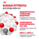 Корм в развес ROYAL CANIN Maine Coon Adult для взрослых кошек породы Мейн Кун с 15 месяцев, 1кг