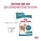 4кг Корм ROYAL CANIN Ageing 11+ для кошек старше 11 лет