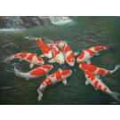 Карп Кои 7-8 см