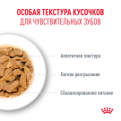 85гр Влажный корм ROYAL CANIN Ageing +11 для взрослых кошек старше 11 лет кусочки в желе