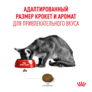 4кг Корм ROYAL CANIN Fussy Exigent для взрослых привередливых кошек
