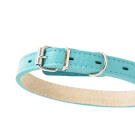 Ошейник Mr.Kranch для собак из натуральной кожи Бирюзовый, 20-25см