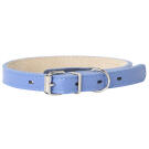Ошейник Mr.Kranch для собак из натуральной кожи Васильковый, 20-25см