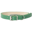 Ошейник Mr.Kranch для собак из натуральной кожи Зеленый, 20-25см