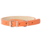 Ошейник Mr.Kranch для собак из натуральной кожи Оранжевый, 20-25см