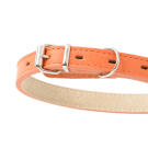 Ошейник Mr.Kranch для собак из натуральной кожи Оранжевый, 24-30см